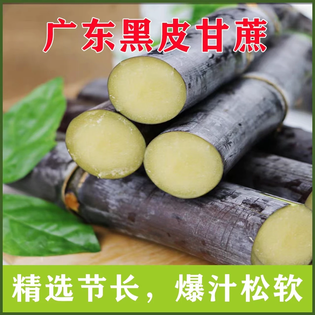 广东黑皮精选新鲜甘蔗现砍现发脆甜多汁不甜包赔皮薄清甜鲜脆种植