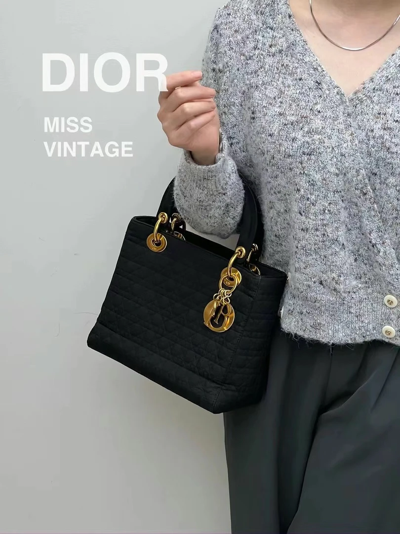 95新 DIOR/迪奥 觅时/黑金布面戴妃包/2503251