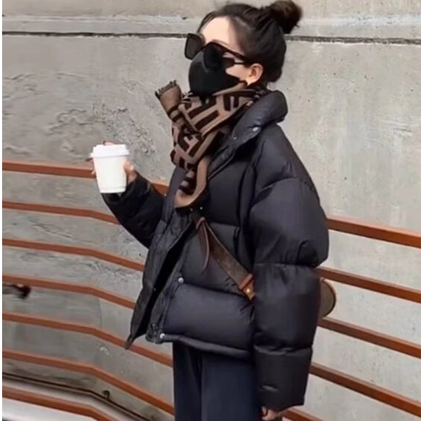 【燕子专属】95白鸭绒短款韩版宽松立领加厚短款新款羽绒服外套女