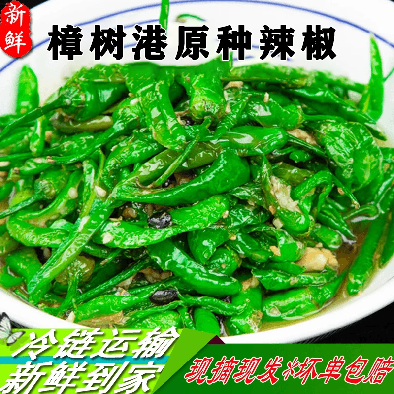 【正宗樟树港原种辣椒】微辣精选湖南特产薄皮清香软香辣椒产地采摘