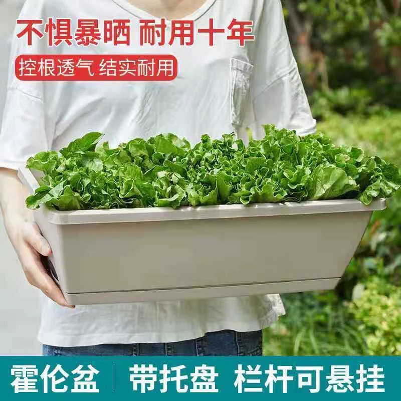 阳台室内家用种植箱菜园绿萝多肉特价大号塑料花盆长方形塑料盆