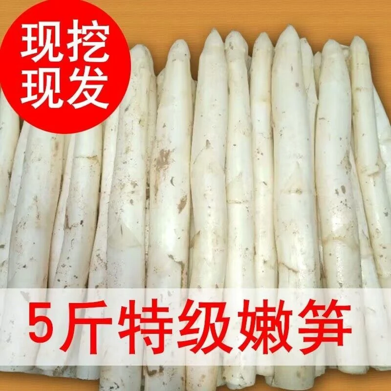 白芦笋现挖现发新鲜蔬菜山东白芦笋农家自种新鲜营养白芦笋精品