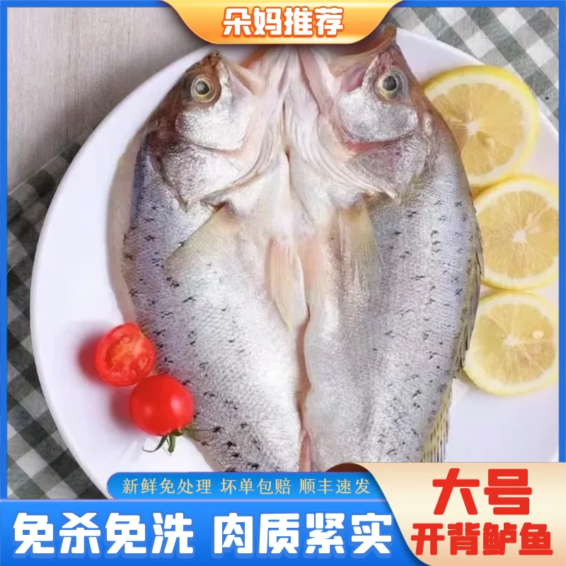 新鲜开背海鲈鱼免杀免处理鲜美500g-600g/条4条装不低于2000g