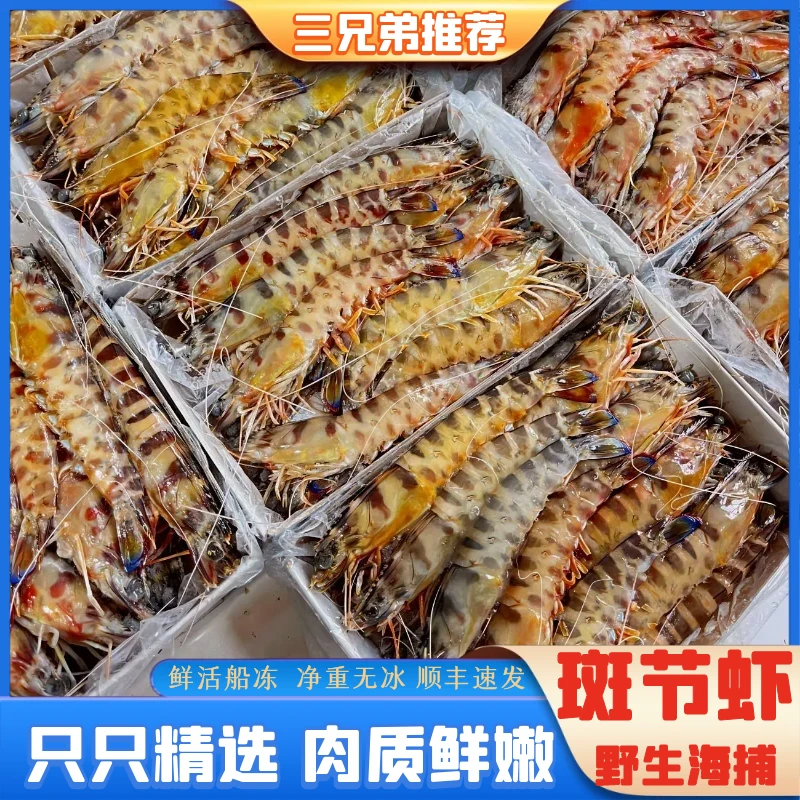 【三兄弟推荐】大大号野生斑节虾竹节虾基围虾1020规格约20头1000g