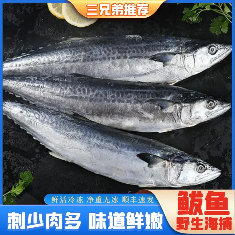【三兄弟推荐】野生海捕鲅鱼海鱼燕鲅鱼蓝点马鲛鱼约6-8两/条6斤装