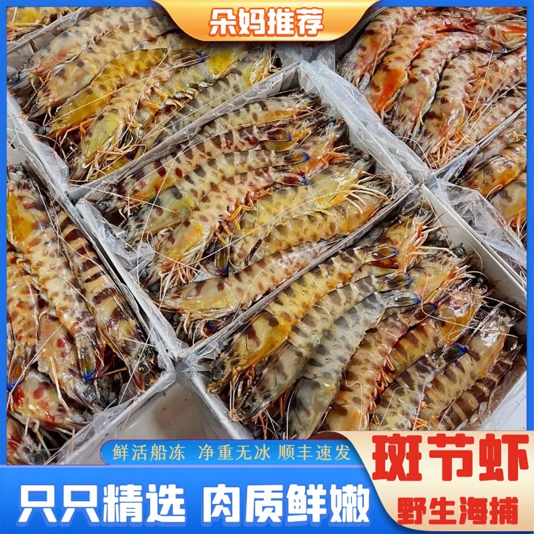 【朵妈推荐】2030大号纯野生海捕斑节虾竹节虾花虾约25-30头1000g