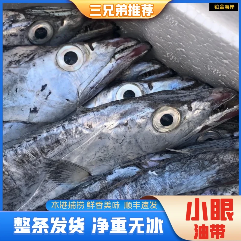 【三兄弟】黄海野生海捕小眼油带鱼整条新鲜3-4两/条14条左右5斤装