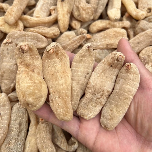 云南山货【红嘴天麻】农产品