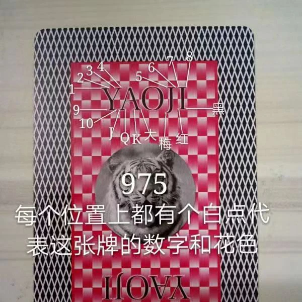 原厂手工小白点975隐蔽魔术扑克牌魔术道具记号牌肉眼识别