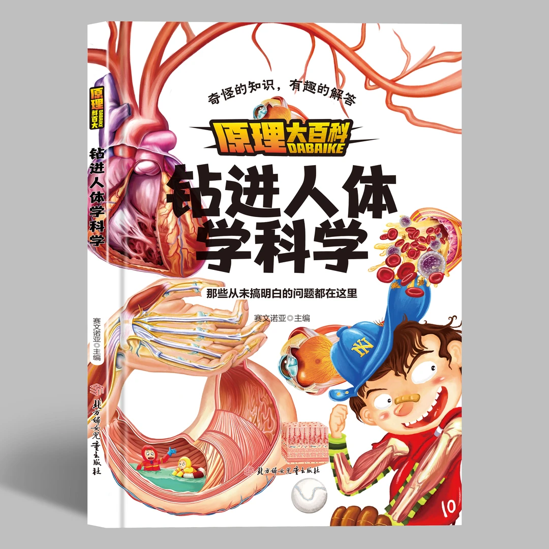 原理大百科：钻进人体学科学精装硬壳大开本 儿童启蒙科学探索