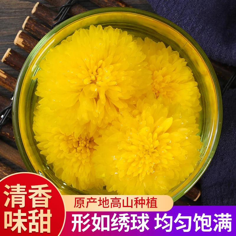 【高品质】菊花茶 乒乓球菊徽州皇菊菊花茶婺源皇菊贡菊高山种植