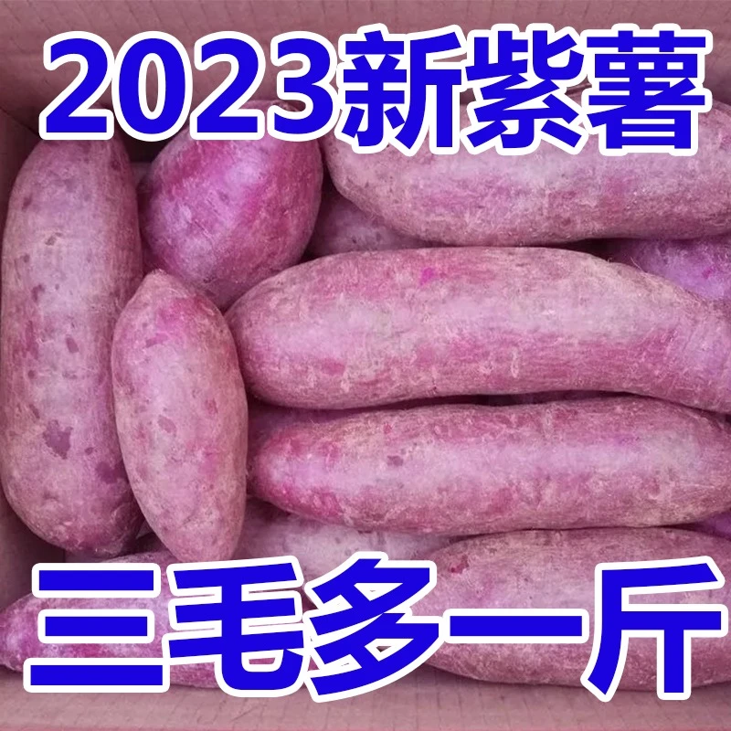 【新店抢购】新鲜紫罗兰紫薯1/10斤现挖沙地紫心蜜薯红薯地瓜烟薯
