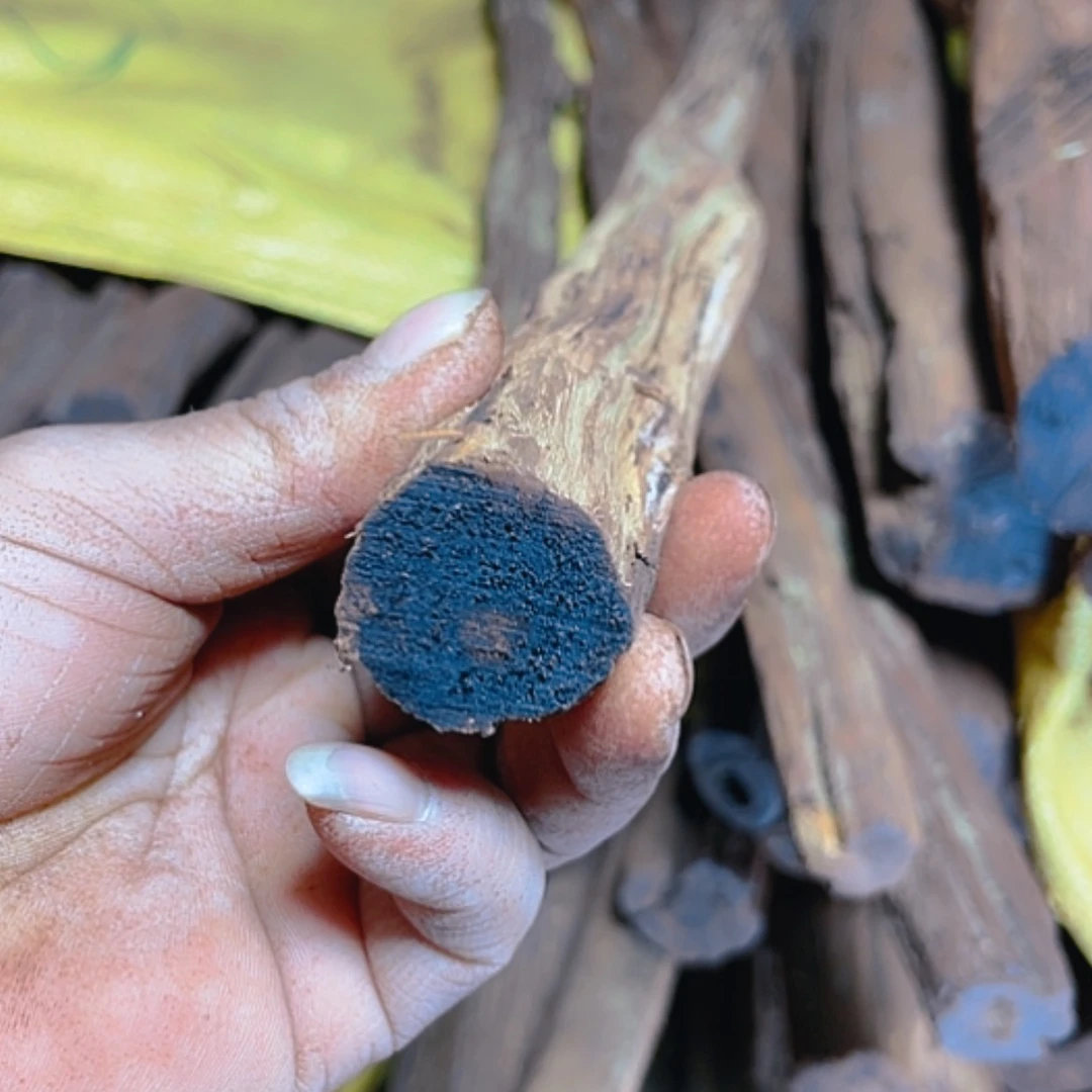 【闪购商品】降真香四*月原木料0.4公斤