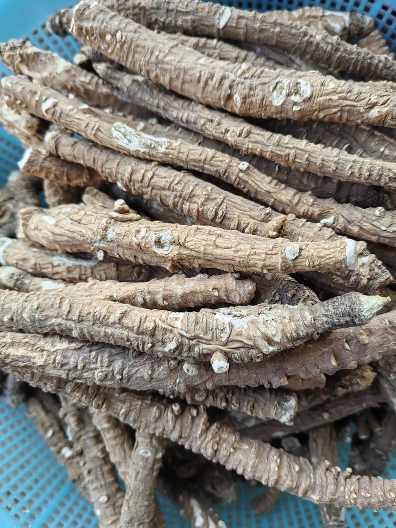 云南山货土特产，当，生，菇