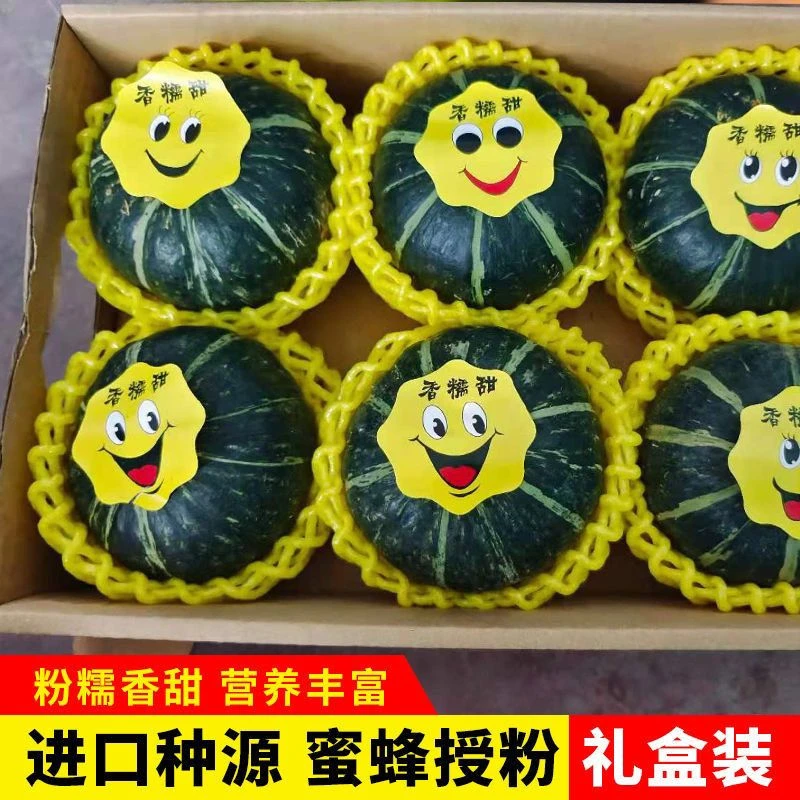 正品贝贝南瓜板栗味小南瓜礼盒进口种源辅食正宗新鲜净重4.5斤