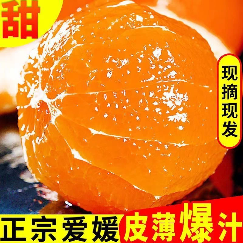 四川正宗爱媛38号果冻橙新鲜橙子当季水果甜橙桔子柑橘手剥橙