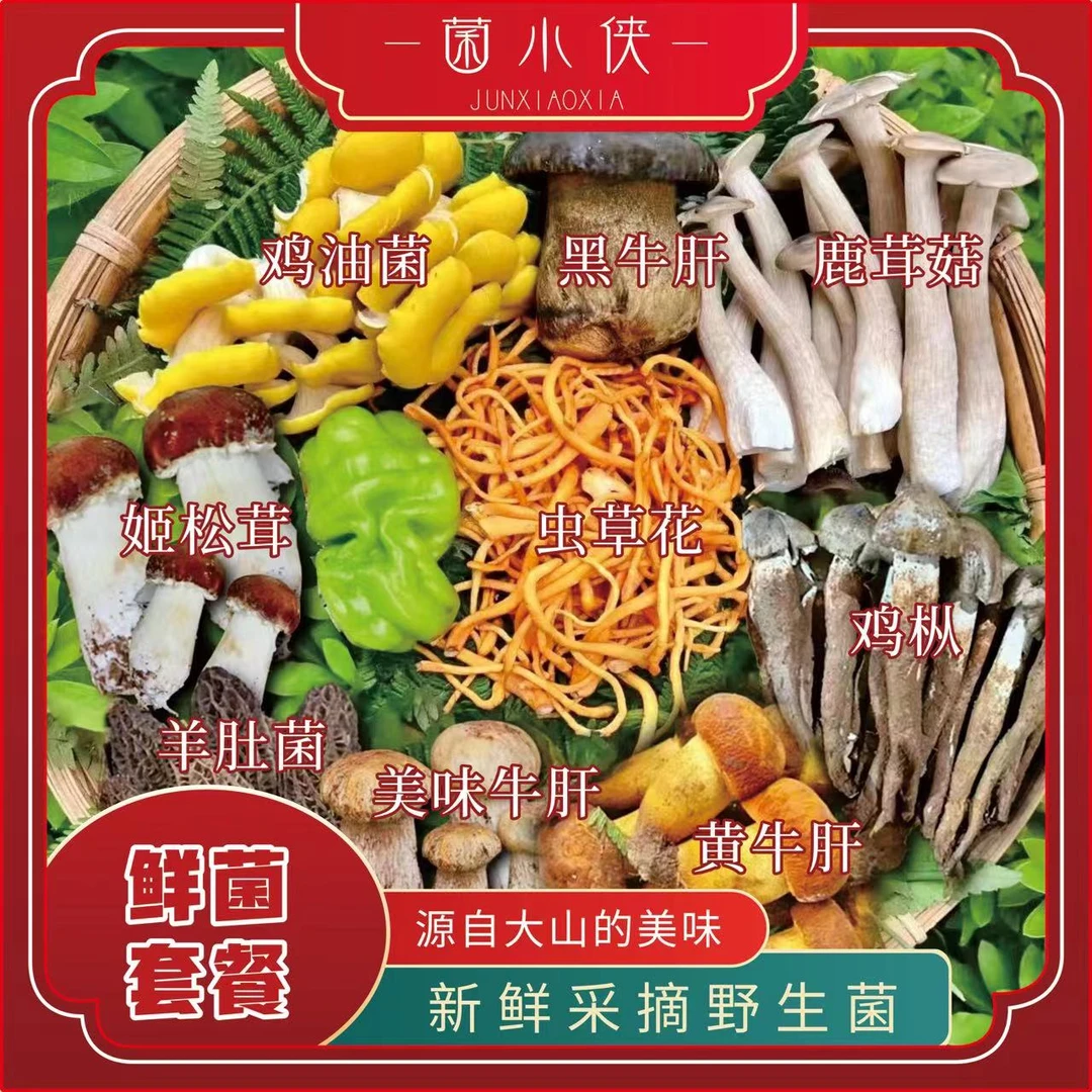 新鲜菌菇套餐 云南菌小侠品牌