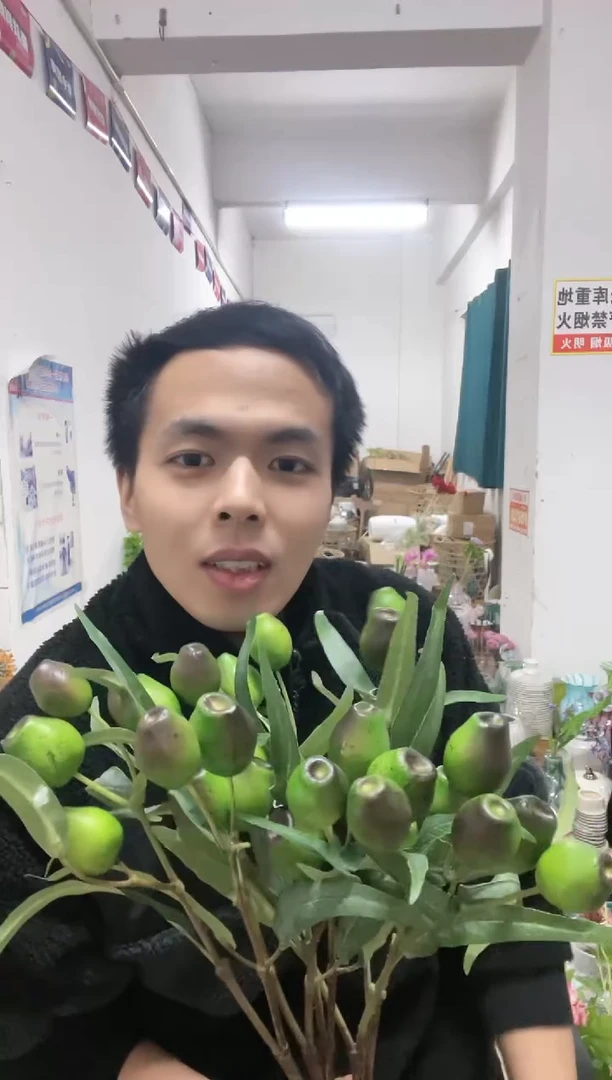 【闪购商品】5绿桉树果