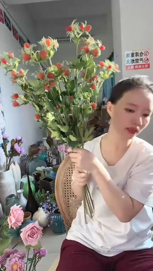 【闪购商品】5支红树莓