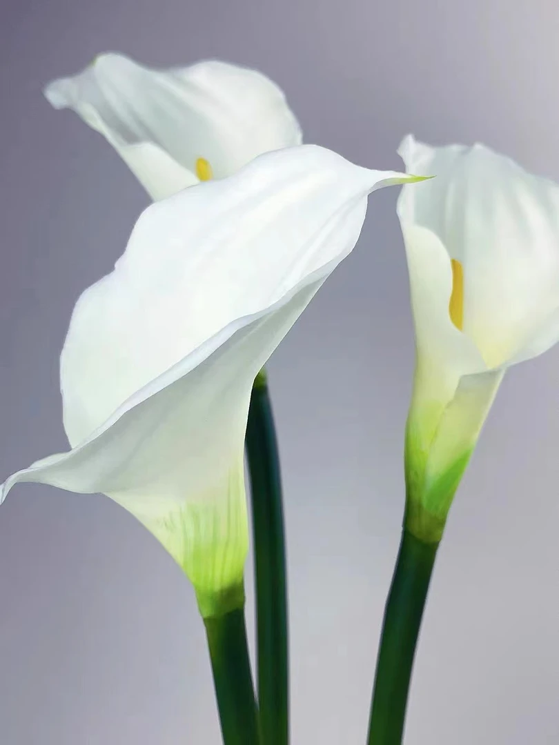 手感马蹄莲 仿真花 超大只