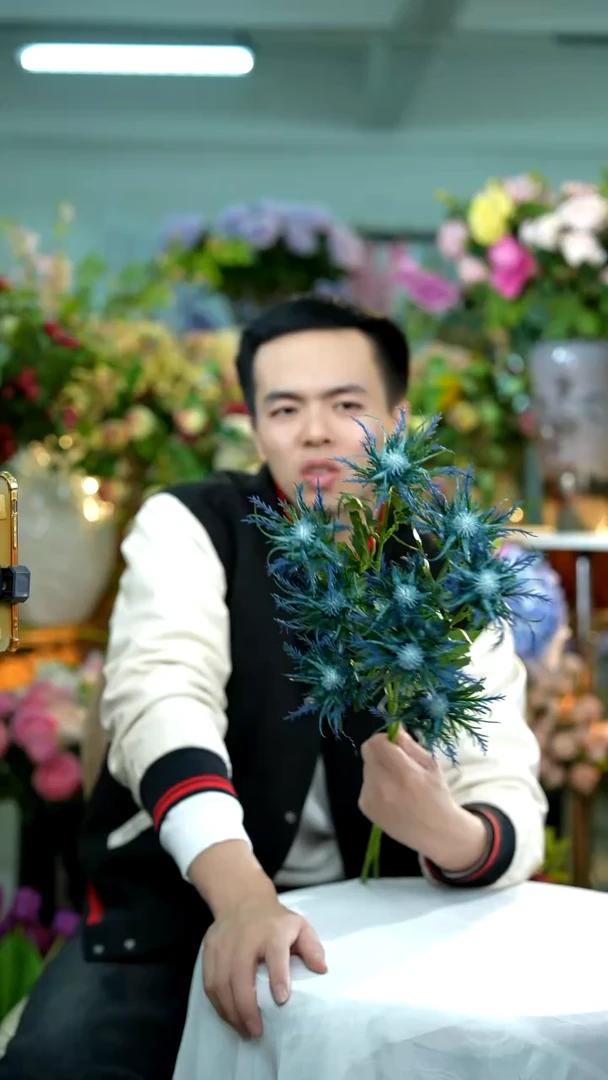 【闪购商品】3蓝刺芹