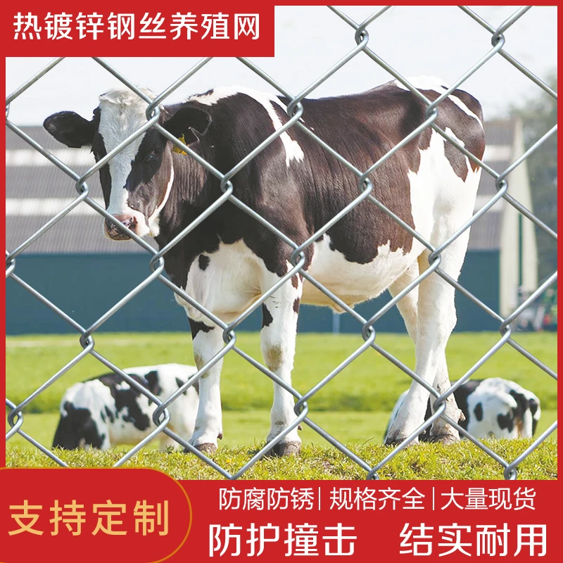 热镀锌铁丝钢丝网勾花菱形网养殖果园网荷兰鸡鸭羊猪牛防护网围栏
