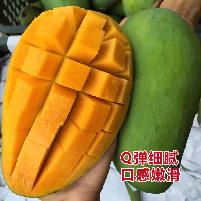 云南新鲜大青芒5斤8斤肉厚香甜多汁金煌芒果当季水果收到变软食用