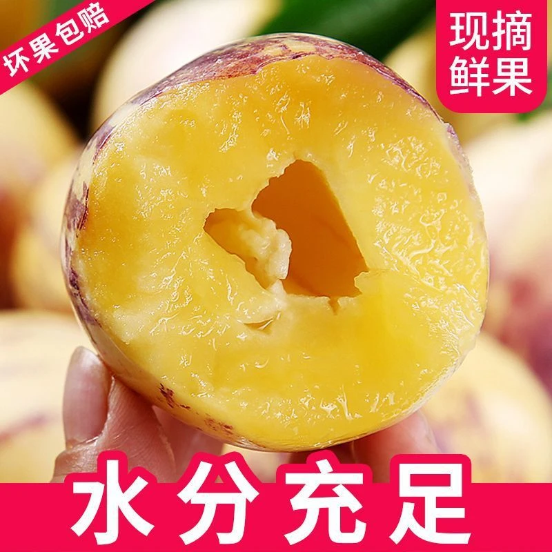 甘肃民勤沙漠人参果3/5/8斤黄肉大果3斤低糖皮薄成熟新鲜现摘多汁