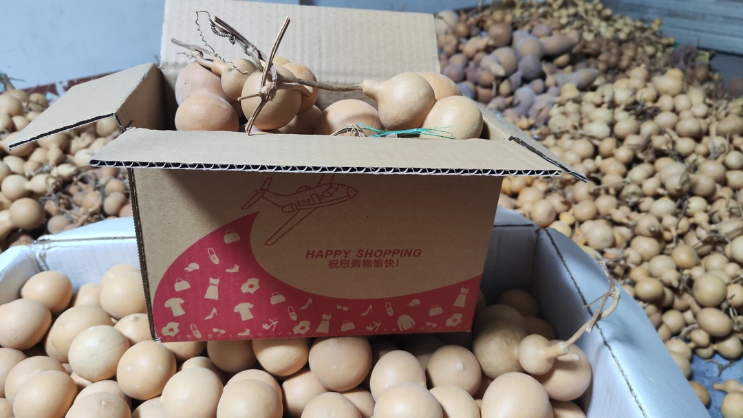 直播装箱链接专用