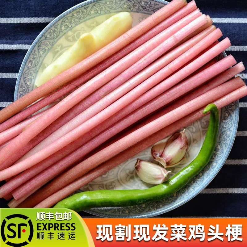 果心榴鸡头梗新鲜现摘1斤水生蔬菜苞梗鸡头苞梗芡实梗睡莲梗