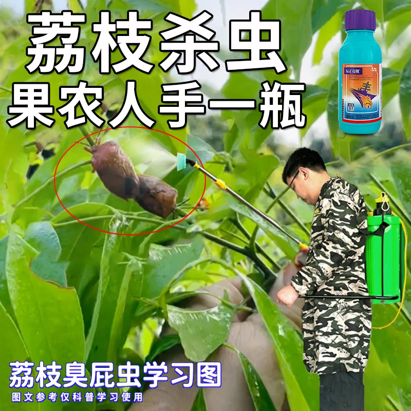 荔枝臭屁虫专效药荔枝树蒂蛀虫蝽蟓辣鼻虫蚜虫打屁虫农药杀虫剂