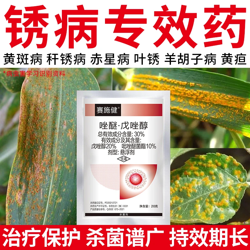 锈病专效吡唑醚菌酯戊唑醇黄锈荷兰豆豆角玉米锈病专效农药防治