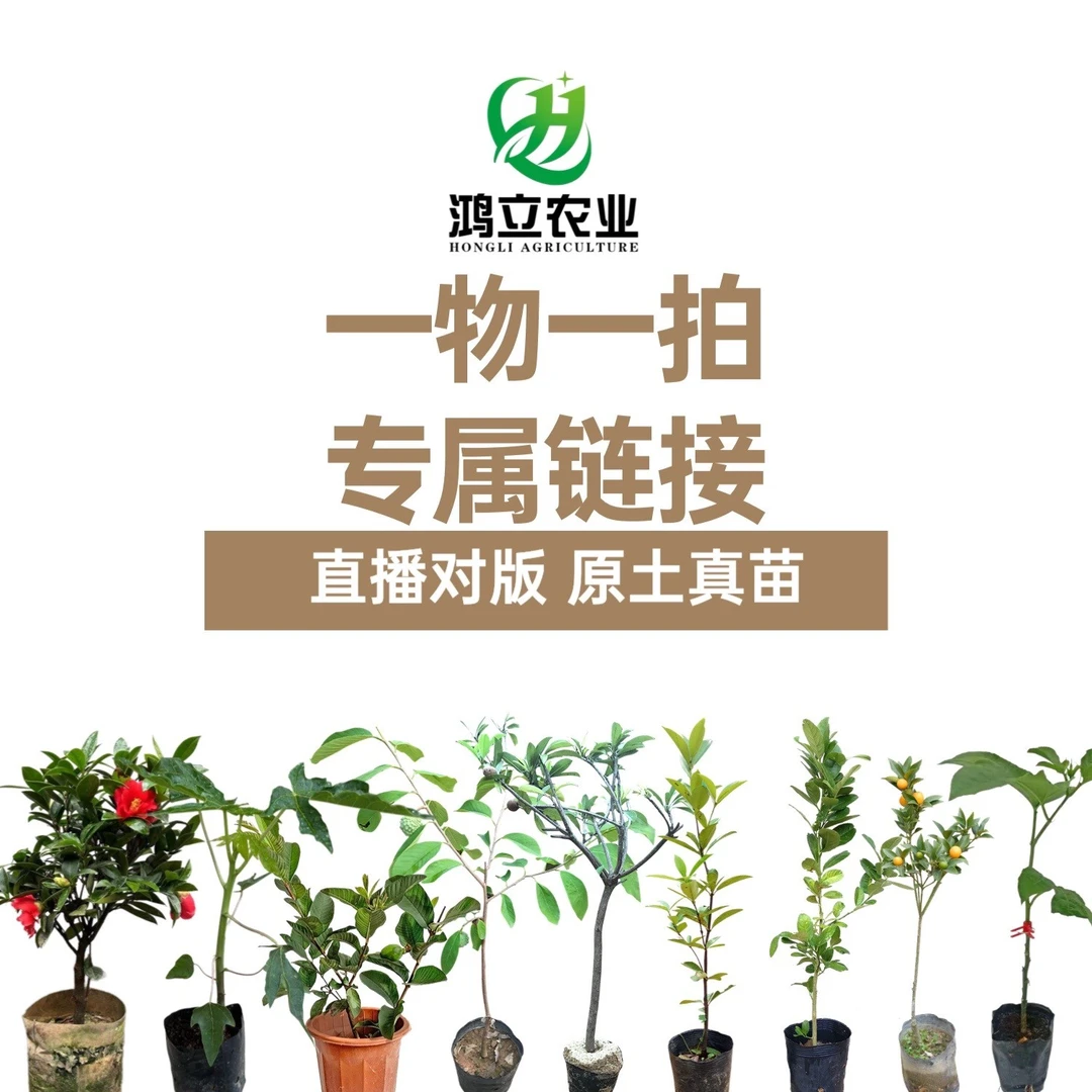 直播间看苗下单一物一拍 联系客服 备注下单果树苗品种名字