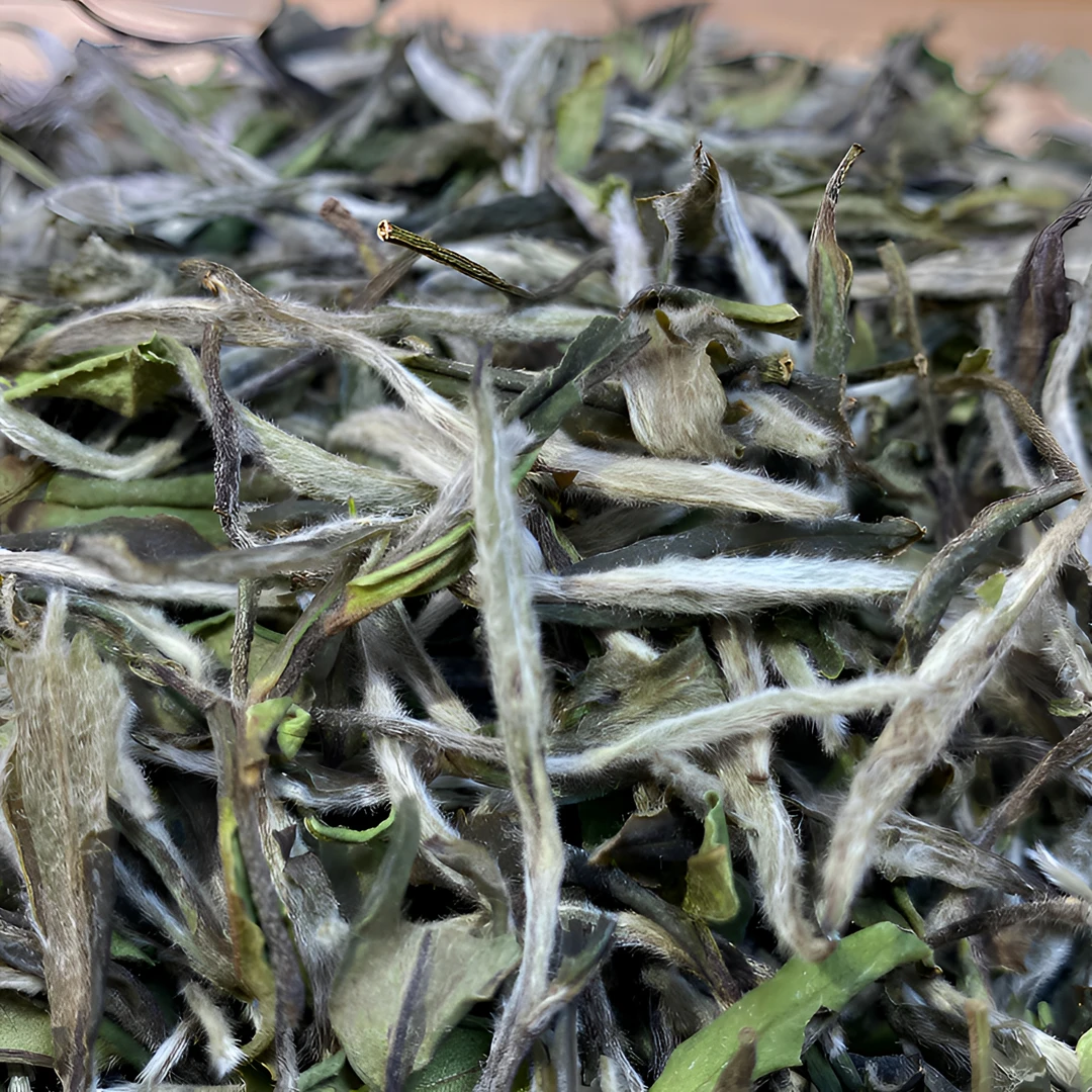 2021年一级白牡丹 福鼎管阳高山白茶毫香蜜韵