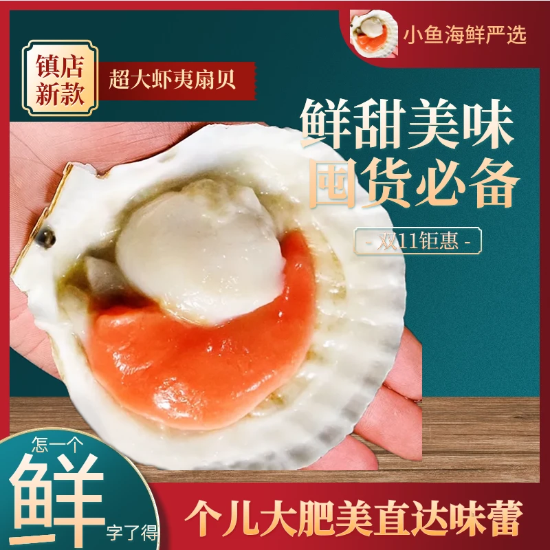★小鱼专属★ 超大 海捕 虾夷扇贝 公母均有 到手8只 600-1200g