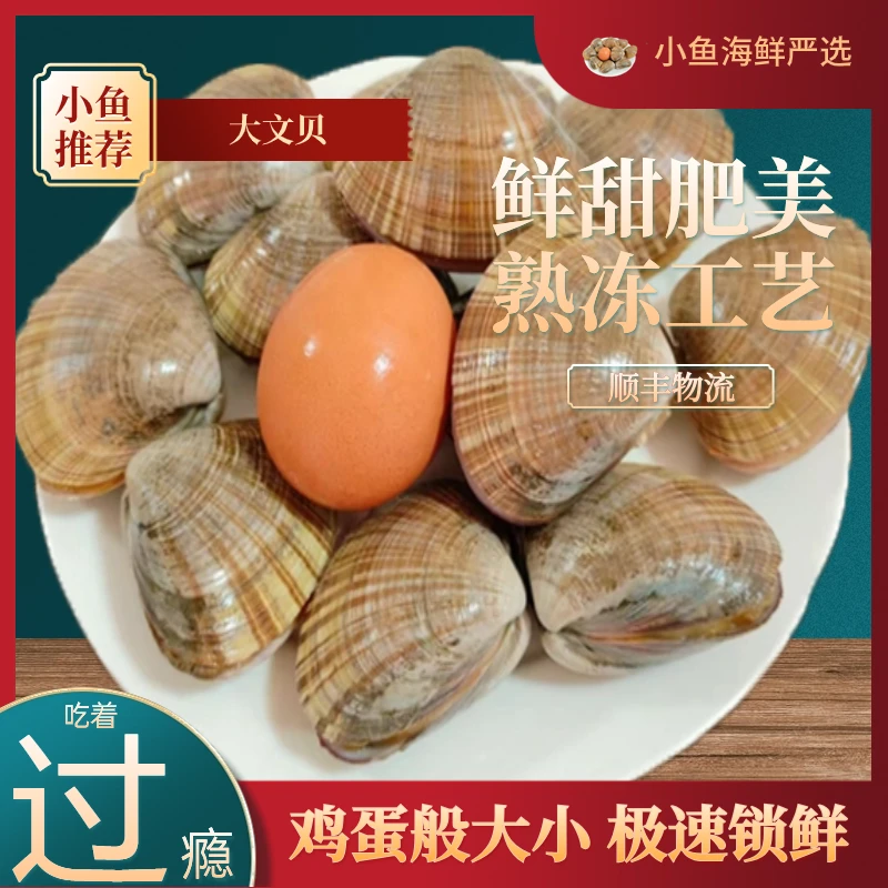 大文贝大黄蚬子丹东东港特产熟冻开袋即食