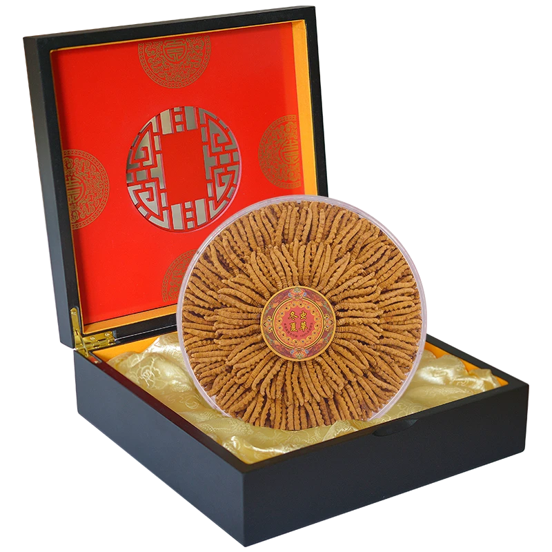 西藏那曲冬虫夏草足干小草（约0.25克/根）50根礼盒装(性价比款）