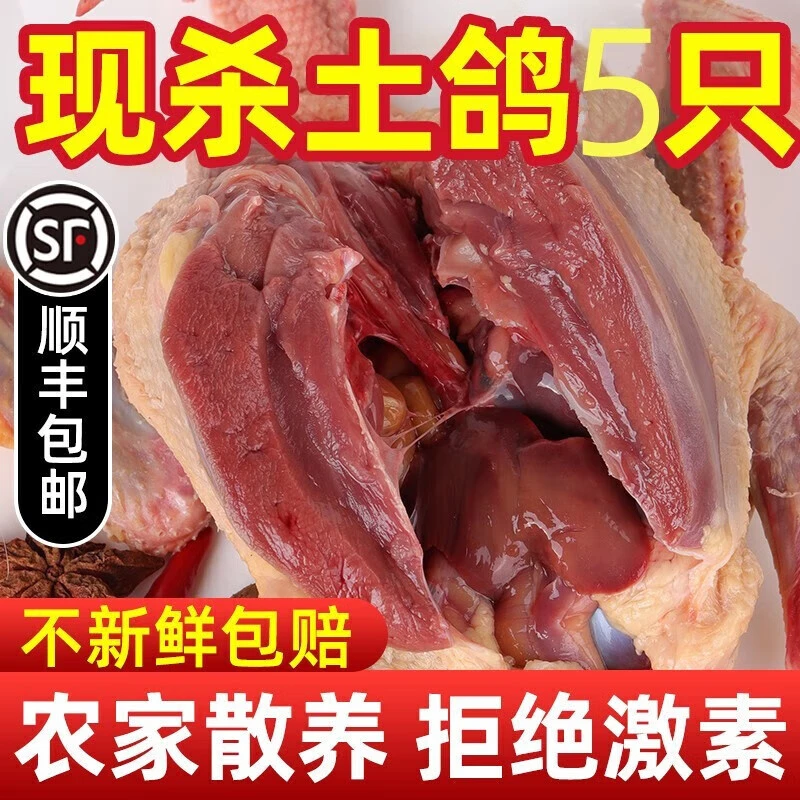 鸽子肉新鲜现杀农家散养乳鸽煲汤乳鸽老鸽子鸽子现杀新鲜顺丰包邮