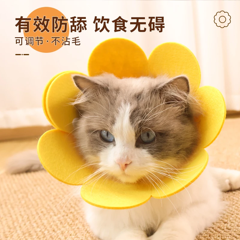 伊丽莎白圈猫咪狗狗项圈防舔咬颈脖圈绝育伊利莎白耻辱圈宠物头套