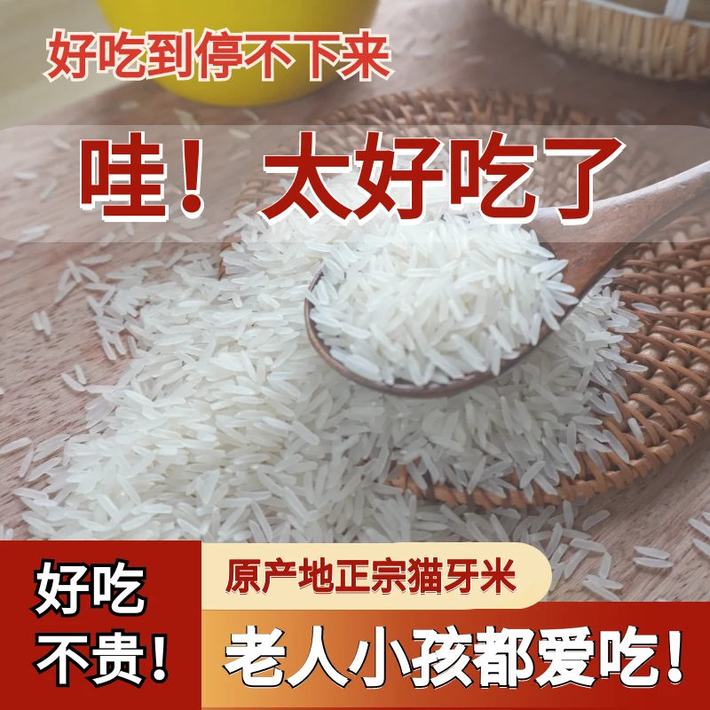 瑶自然2024新米营养猫牙香米新鲜农家传统优质长粒清香2斤5斤10斤