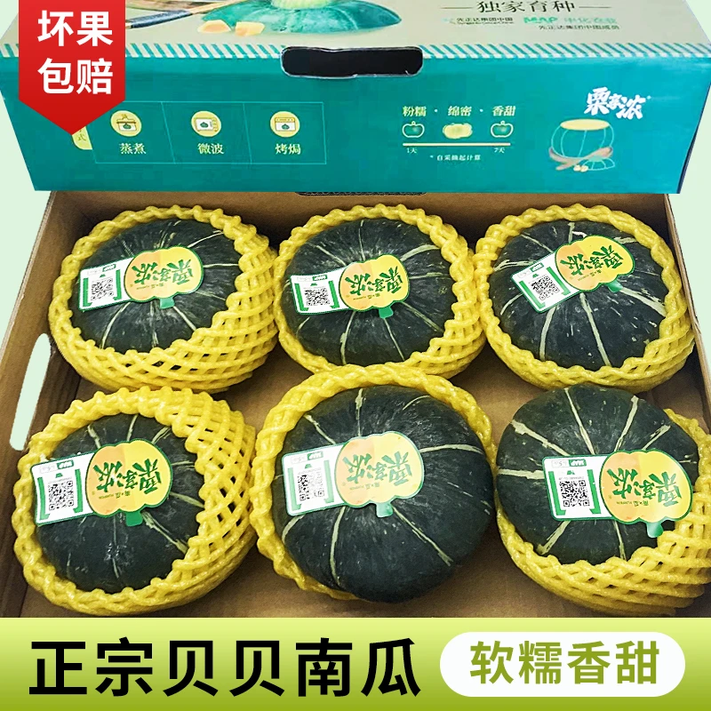 贝贝南瓜板栗味种植甄选产地直发【礼盒】美味品质营养粉糯香甜健康