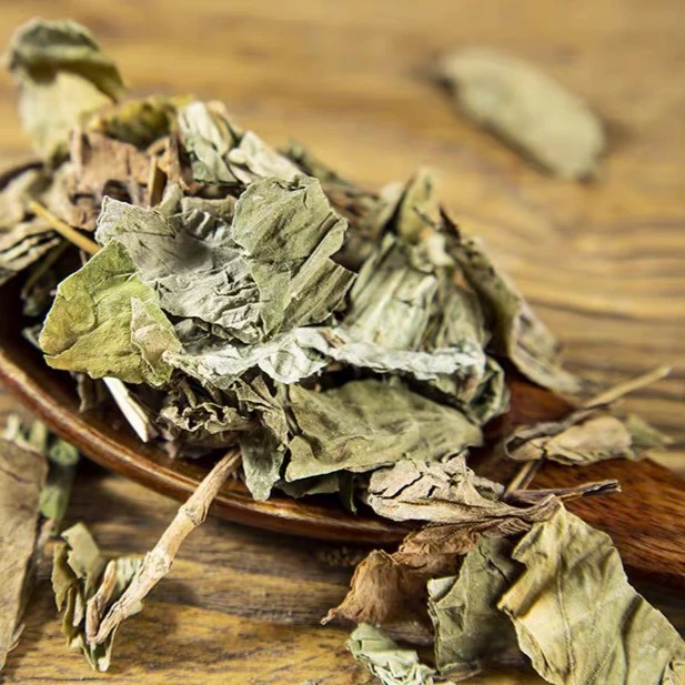 （鱼腥草）-山野山寻-滋补养生