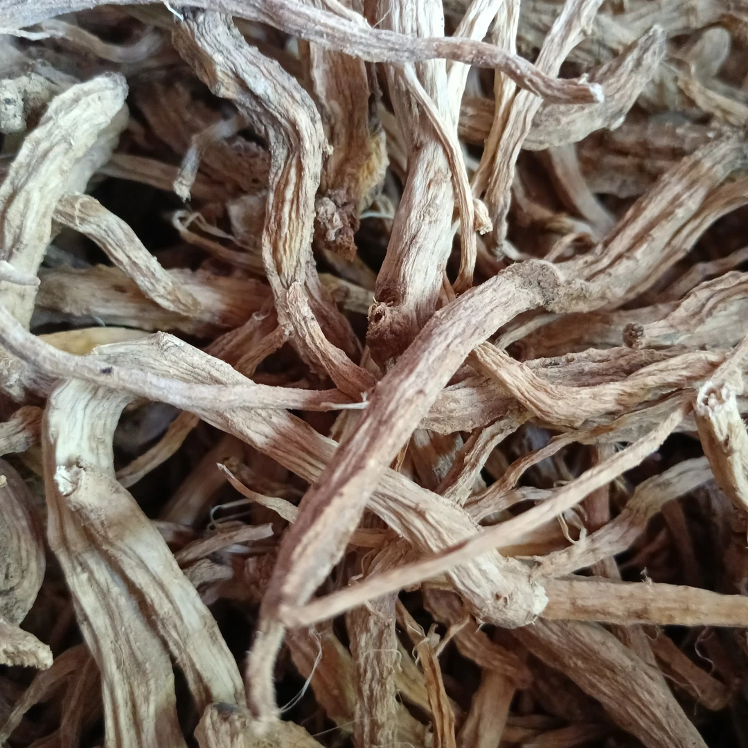 （野党参）-山野山寻-滋补养生