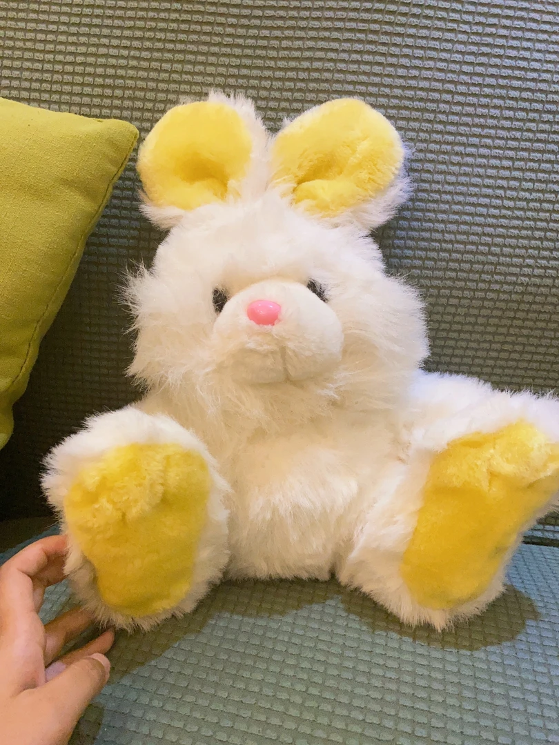 中古毛绒玩具（no退no换）