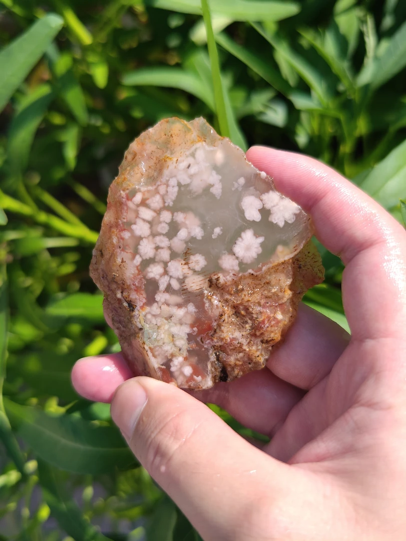 非金属樱花吊坠牛血红