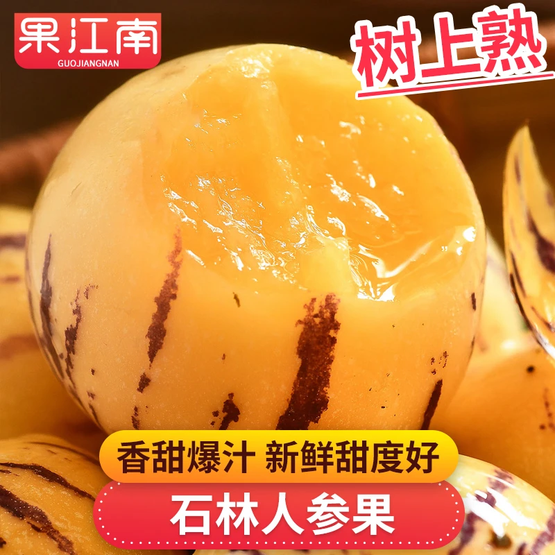 【果江南】云南石林人参果1-5斤树上熟香甜多汁 新鲜水果坏果包赔