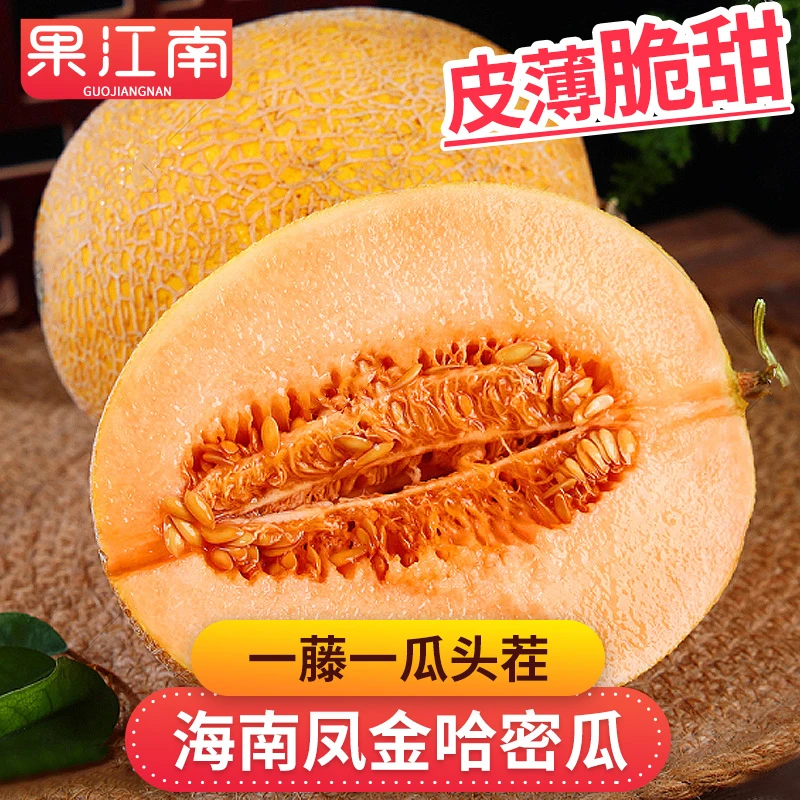 【果江南】海南凤金哈密瓜4.5-9斤头茬脆甜多汁沙地好吃新鲜水果