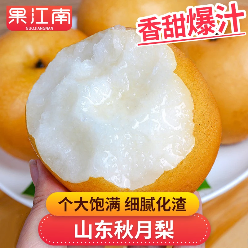 【果江南】山东秋月梨4.5-5斤个大饱满香甜爆汁新鲜水果