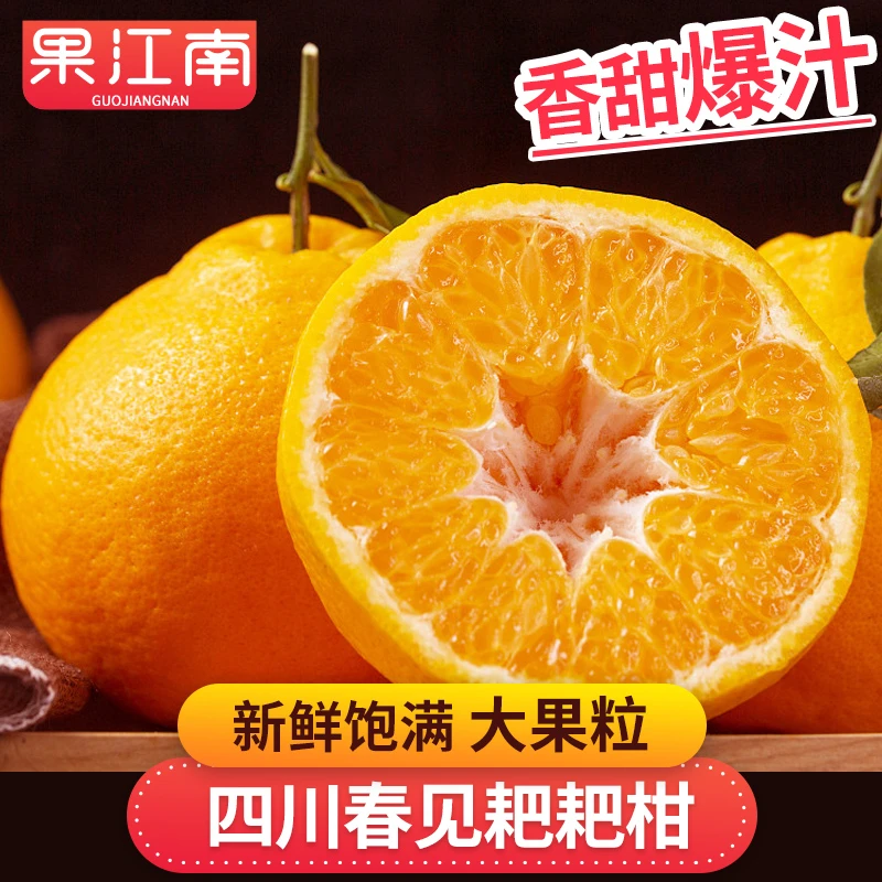 【果江南】四川春见耙耙柑1.4-8斤香甜爆汁大果粒爽口非丑橘不知火
