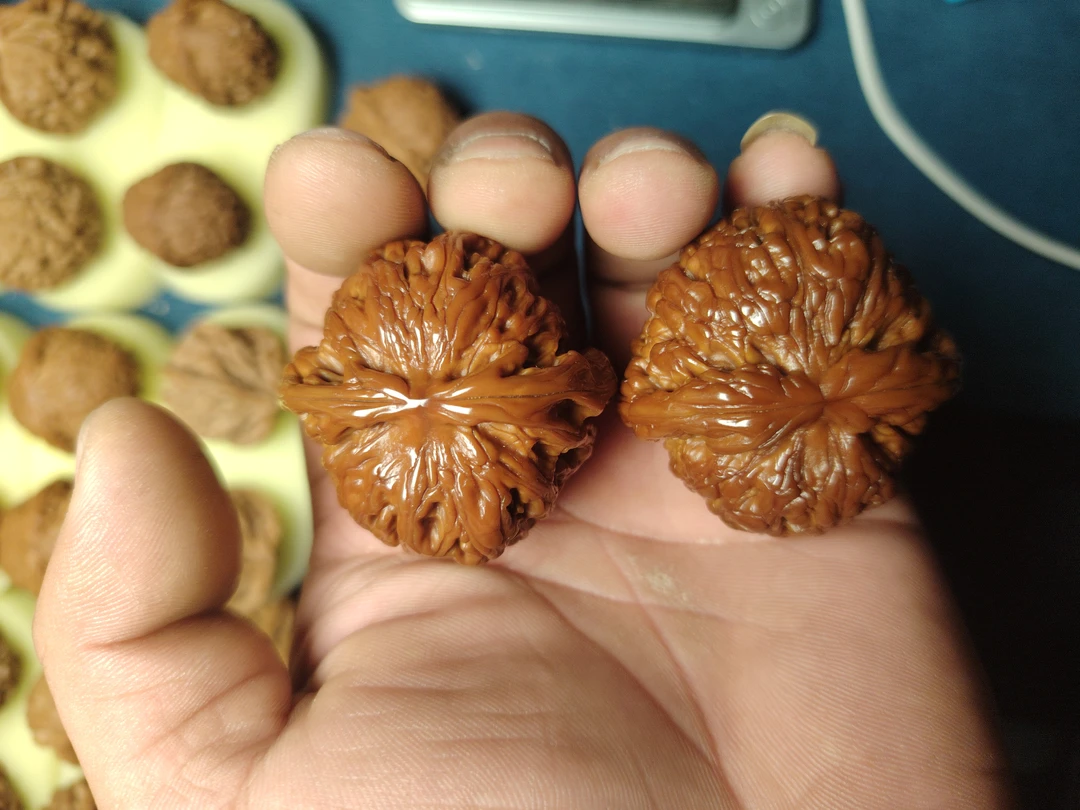 文玩核桃南疆石专属链接